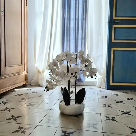 Vila Maison Chene *