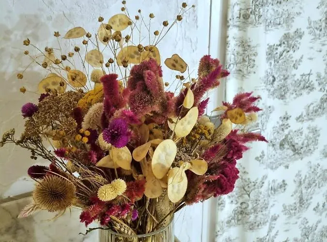 Maison Chene Villa Sagriès